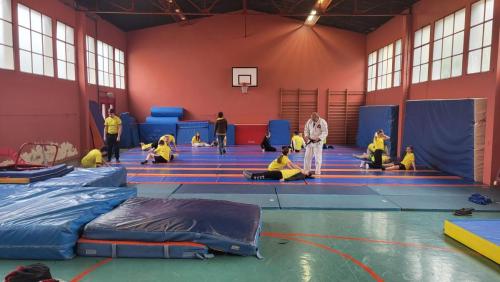 Judo
